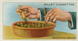 1923 Wills's Gardening Hints #36 Transplanting Seedlings Front