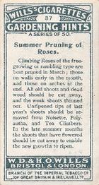 1923 Wills's Gardening Hints #37 Summer Pruning of Roses Back