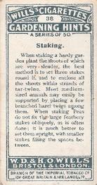 1923 Wills's Gardening Hints #38 Staking Back