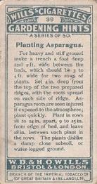 1923 Wills's Gardening Hints #39 Planting Asparagus Back