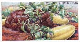 1923 Wills's Gardening Hints #40 A Marrow-Bed Front