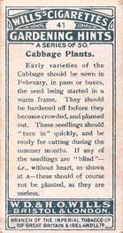 1923 Wills's Gardening Hints #41 Cabbage Plants Back