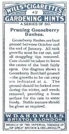 1923 Wills's Gardening Hints #42 Pruning Gooseberry Bushes Back