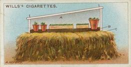 1923 Wills's Gardening Hints #44 A Hotbed Front