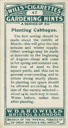 1923 Wills's Gardening Hints #47 Planting Cabbages Back