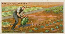 1923 Wills's Gardening Hints #47 Planting Cabbages Front