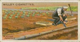 1923 Wills's Gardening Hints #48 Planting Potatoes Front