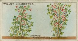 1923 Wills's Gardening Hints #50 Thinning Raspberry Canes Front