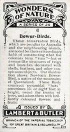 1924 Lambert & Butler Wonders of Nature #6 Bower-Birds Back