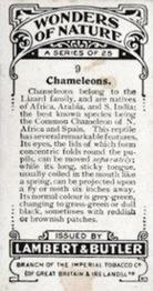1924 Lambert & Butler Wonders of Nature #9 Chameleons Back
