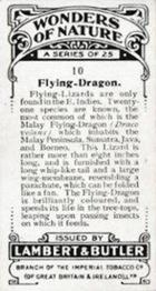 1924 Lambert & Butler Wonders of Nature #10 Flying Dragon Back