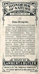 1924 Lambert & Butler Wonders of Nature #11 Sea-Dragon Back