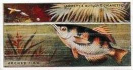 1924 Lambert & Butler Wonders of Nature #12 Archer Fish Front