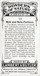 1924 Lambert & Butler Wonders of Nature #16 Mole and Mole-Fortress Back