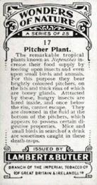 1924 Lambert & Butler Wonders of Nature #17 Pitcher Plant Back