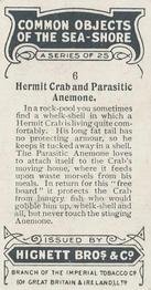 1924 Hignett's Common Objects of the Sea-shore #6 Hermit Crab and Parasitic Anemone Back