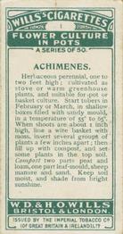 1925 Wills's Flower Culture in Pots #1 Achimenes Back