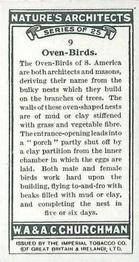 1930 Churchman's Nature's Architects #9 Oven-Birds Back