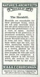 1930 Churchman's Nature's Architects #13 The Hornbill Back