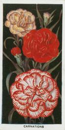1936 Carreras Flowers #1 Carnations Front