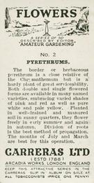 1936 Carreras Flowers #2 Pyrethrums Back