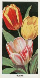 1936 Carreras Flowers #3 Tulips Front