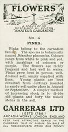 1936 Carreras Flowers #4 Pinks Back