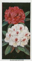 1936 Carreras Flowers #5 Rhododendrons Front