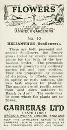 1936 Carreras Flowers #10 Helianthus (Sunflowers) Back