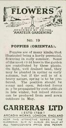 1936 Carreras Flowers #19 Poppies (Oriental) Back
