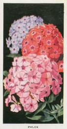 1936 Carreras Flowers #21 Phlox Front