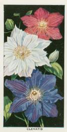 1936 Carreras Flowers #25 Clematis Front