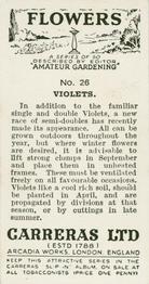 1936 Carreras Flowers #26 Violets Back