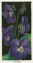 1936 Carreras Flowers #26 Violets Front
