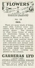 1936 Carreras Flowers #28 Iris Back