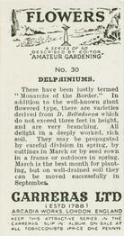 1936 Carreras Flowers #30 Delphiniums Back