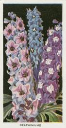 1936 Carreras Flowers #30 Delphiniums Front