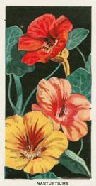 1936 Carreras Flowers #33 Nasturtiums Front