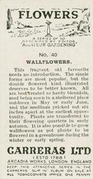 1936 Carreras Flowers #40 Wallflowers Back