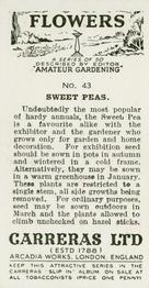 1936 Carreras Flowers #43 Sweet Peas Back
