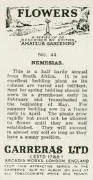 1936 Carreras Flowers #44 Nemesias Back