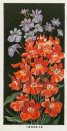 1936 Carreras Flowers #44 Nemesias Front