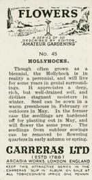 1936 Carreras Flowers #45 Hollyhocks Back
