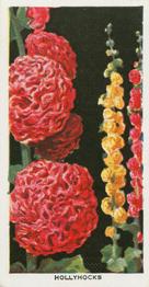 1936 Carreras Flowers #45 Hollyhocks Front