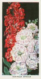 1936 Carreras Flowers #46 Ten-Week Stocks Front