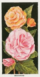 1936 Carreras Flowers #47 Begonias Front