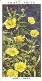 1937 Wills's Wild Flowers (2nd Series) #3 Goldilocks Front