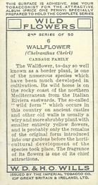 1937 Wills's Wild Flowers (2nd Series) #6 Wallflower Back