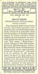 1937 Wills's Wild Flowers (2nd Series) #7 Rock-Rose Back