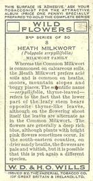 1937 Wills's Wild Flowers (2nd Series) #8 Heath Milkwort Back